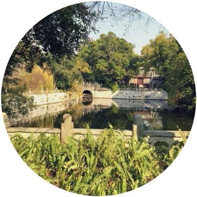 王德亮：两岸文化艺术的交流使者